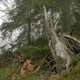 Image for article titled See If You Can Spot The Camouflaged Snipers In These Pictures